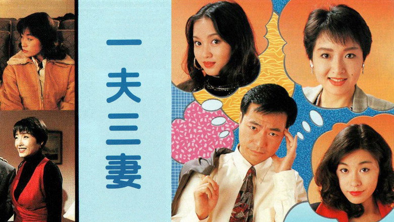 一夫三妻 photo