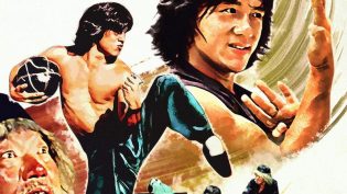 醉拳 photo