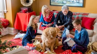 The Christmas Cure photo
