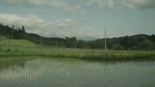 小森林：冬春篇 photo