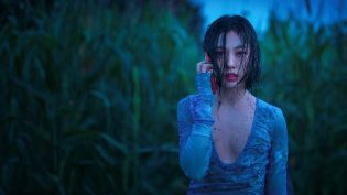 无声蛙鸣 photo