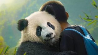 熊猫月亮 photo