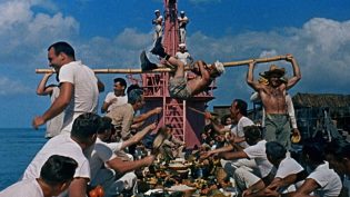 粉红色潜艇 photo
