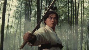 侠女 photo