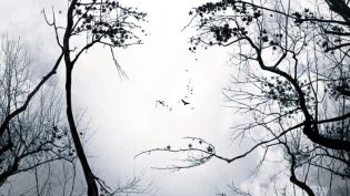 亡命感应 photo