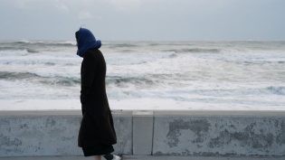 658公里，阳子的旅途 photo