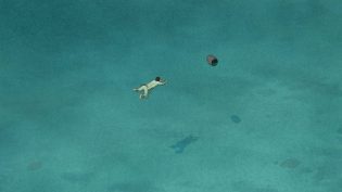 红海龟 photo