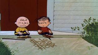 查理布朗男孩 photo