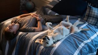 迷途之犬 photo