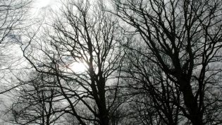 Tales from the Darkside photo