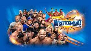 WWE 摔角狂热 33 photo