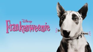 科学怪狗 photo