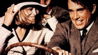 雌雄大盗 photo