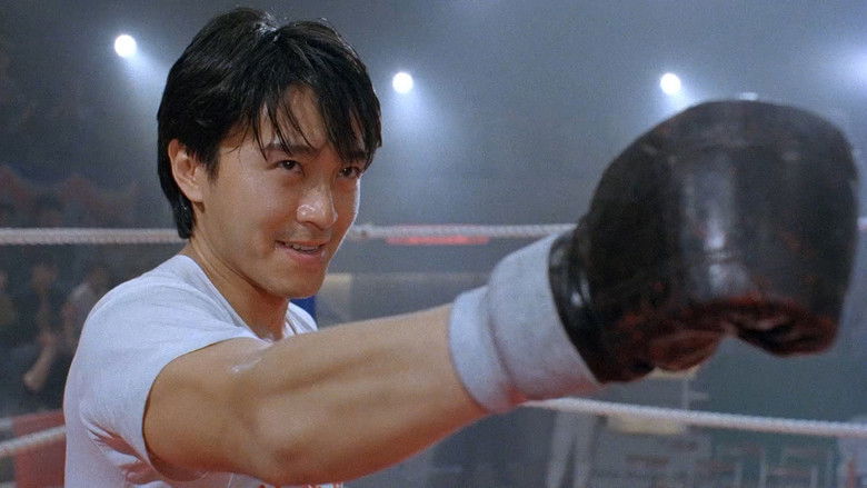 新精武门1991 photo