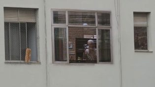 Vitória photo