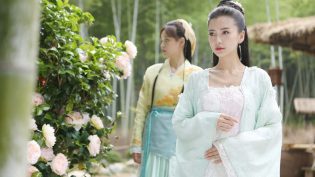 孤芳不自赏 photo