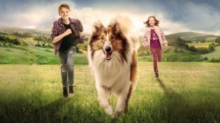Lassie-冒险之旅 photo