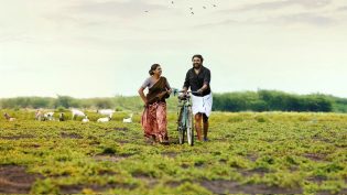 காரி photo
