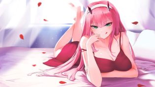 DARLING in the FRANXX photo