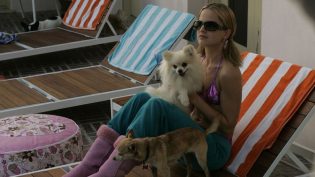 The Dog Problem photo