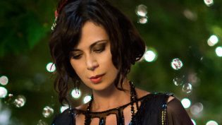 The Good Witch's Destiny photo
