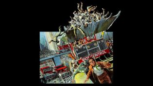 绿色食品 photo