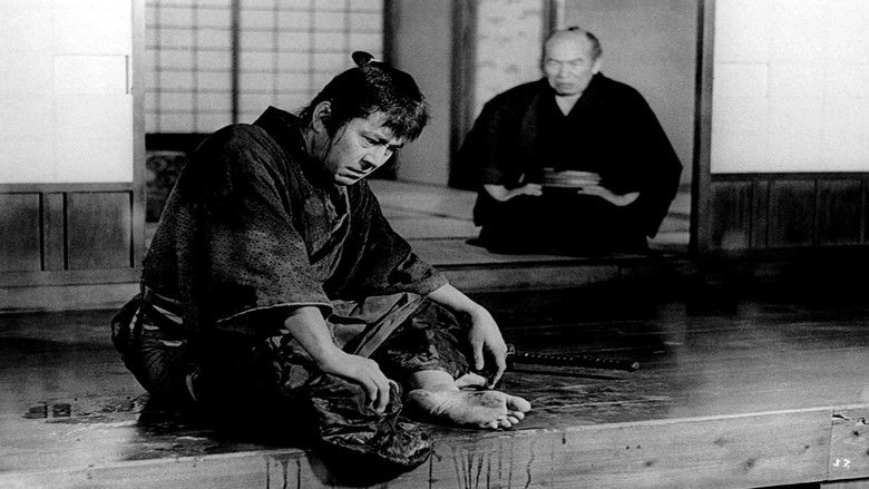 侍 photo