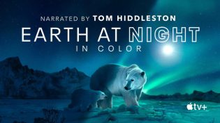 Earth at Night in Colour photo