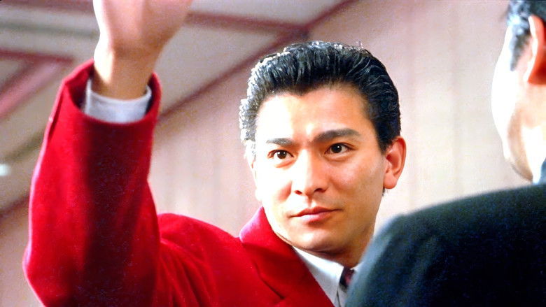 赌侠 photo