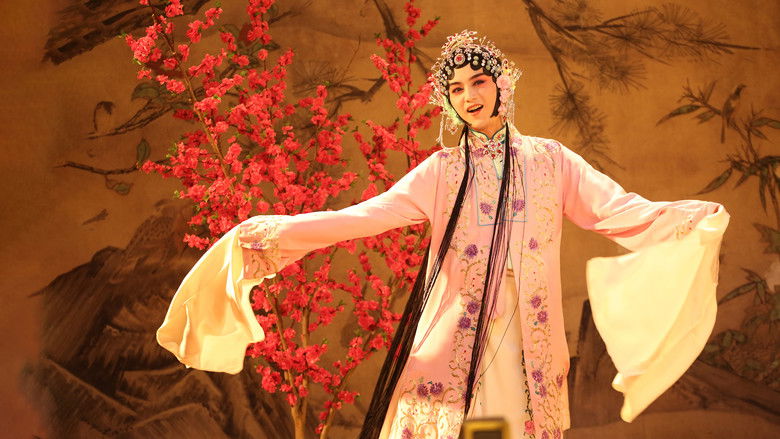 那年花开月正圆 photo