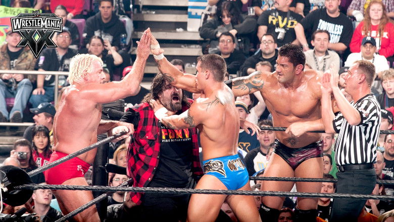 WWE 摔角狂热 20 photo