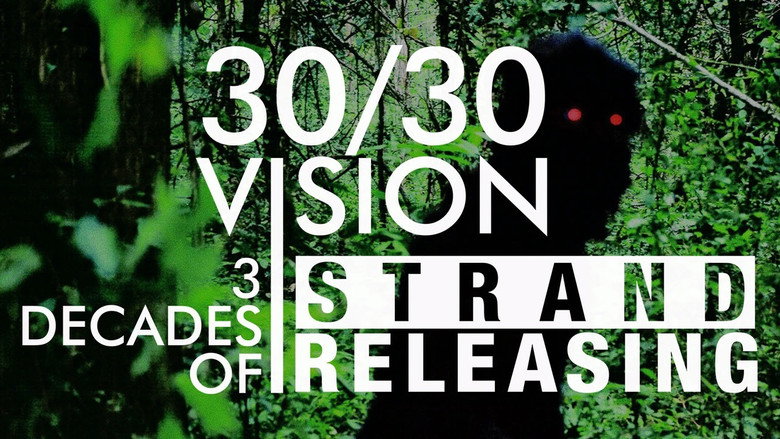 30/30 Vision: Three Decades of Strand Releasing photo