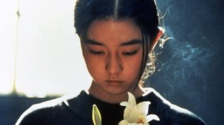 燕尾蝶 photo