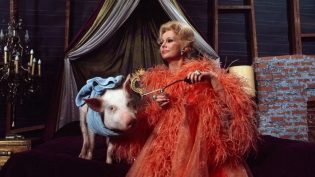Green Acres photo