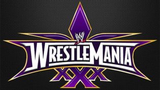 WWE 摔角狂热 30 photo