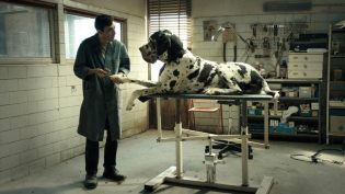 犬舍惊魂 photo