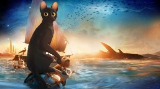猫猫的奇幻漂流 photo