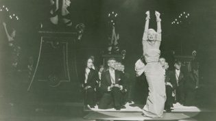 绅士爱美人 photo