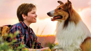 Lassie-冒险之旅 photo