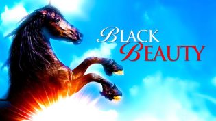 Black Beauty photo
