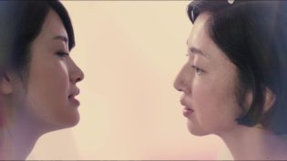 白百合 photo