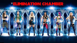 WWE 密室牢笼 2020 photo