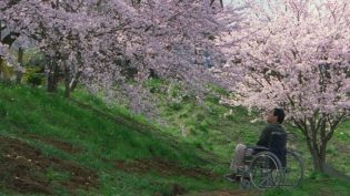 花火 photo