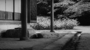 晚春 photo