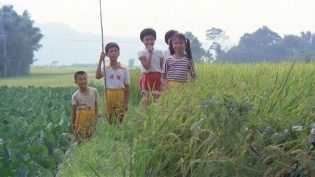 冬冬的假期 photo