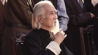 叶问宗师觉醒 photo