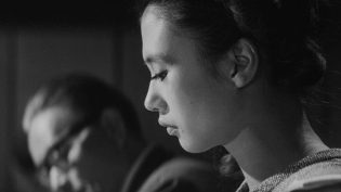 干花 photo
