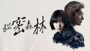 秘密森林 photo