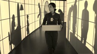 悄然之星 photo