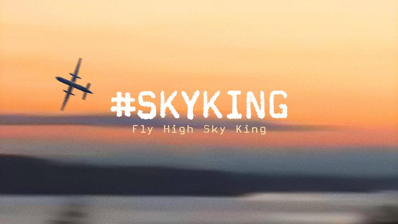 #SKYKING photo